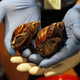 Illustration for article titled Florida’s Gross Giant Snail Problem Is Getting Way Out of Hand